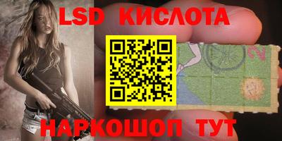 мяу мяу мука Краснознаменск
