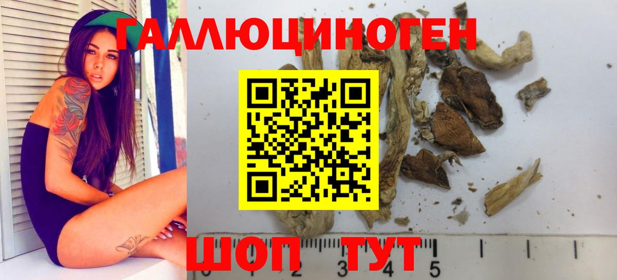 Киров  продажа наркотиков  Вход с VPN  Псилоцибиновые грибы GOLDEN TEACHER 