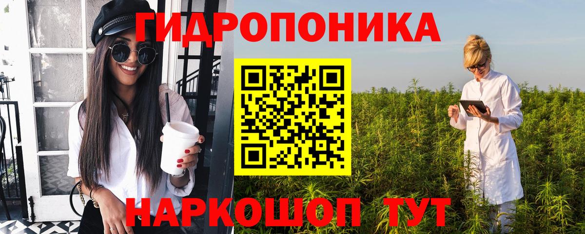 Киров  Бошки Шишки гибрид  Конопля VHQ  Вход с VPN  Конопля план  Конопля VHQ 